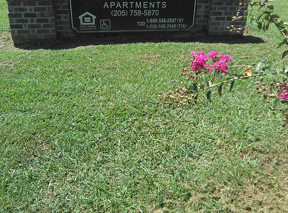 Bonita Terrace Apartments - Tuscaloosa, AL