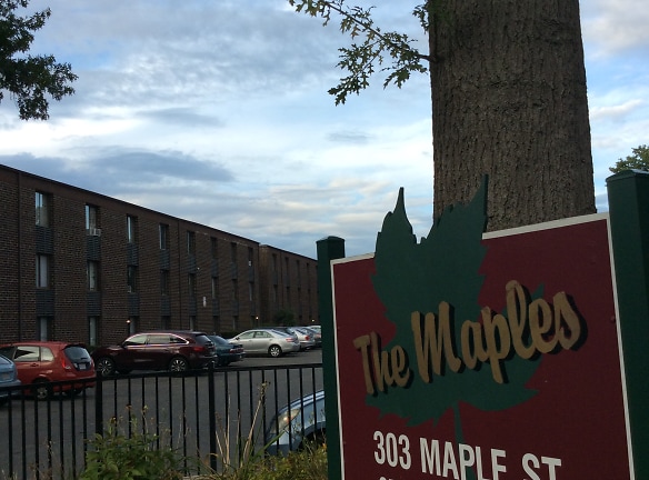 Maple Apartments - Springfield, MA