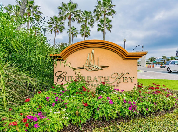 5000 Culbreath Key Way #4-202 - Tampa, FL