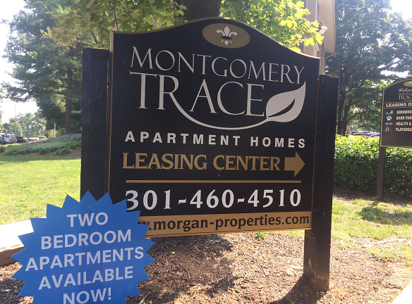 Montgomery Trace Apartments - Silver Spring, MD