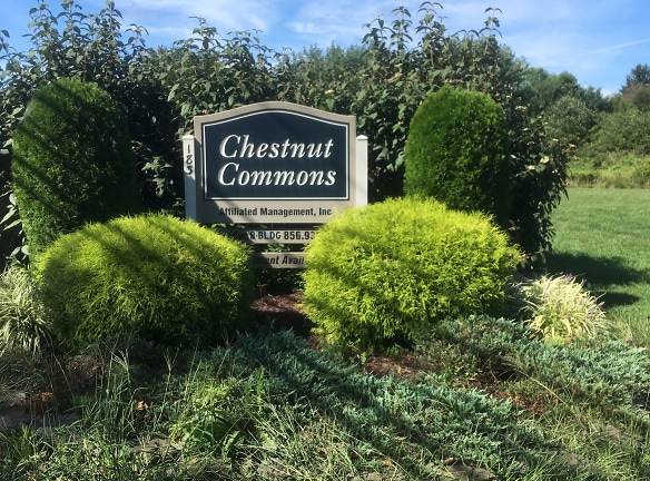 Chestnut Commons Apartments - Salem, NJ