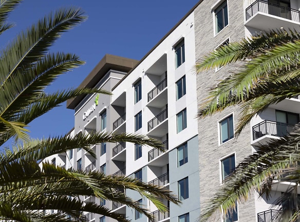 Camden Atlantic Apartments - Plantation, FL