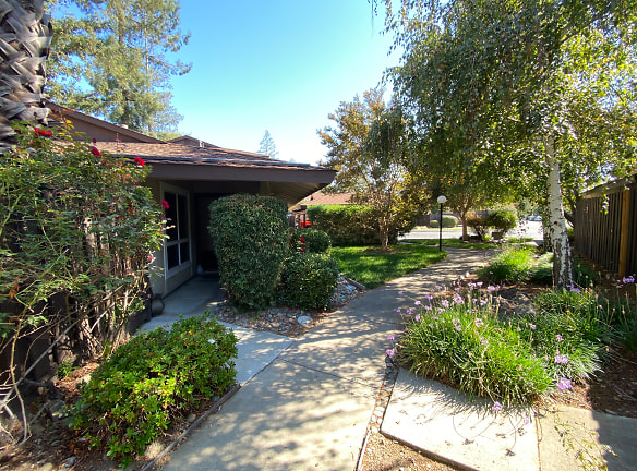 5031 Pinetree Ter unit Westmont - Campbell, CA