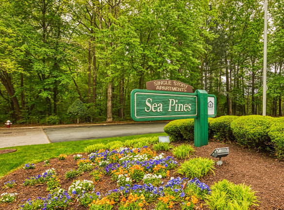 Sea Pines Apartments - Newport News, VA