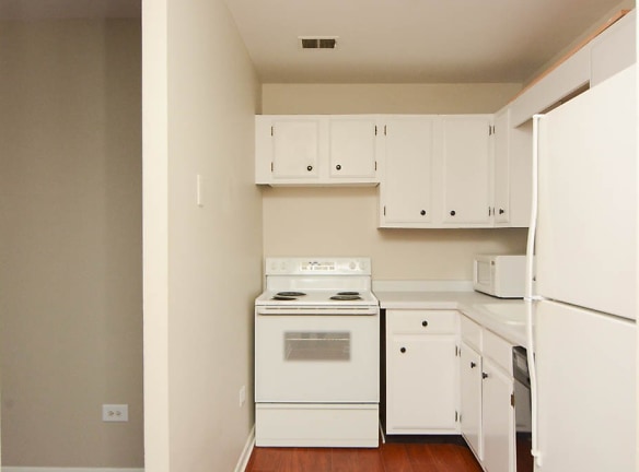 605 W Wrightwood Ave unit P315 - Chicago, IL