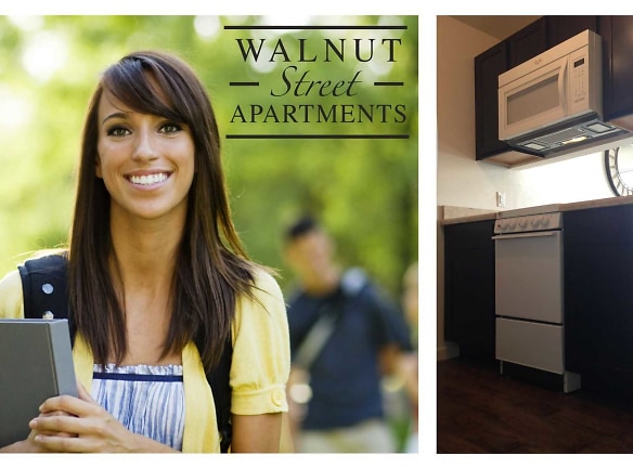 Walnut Street Apartments - Carbondale, IL