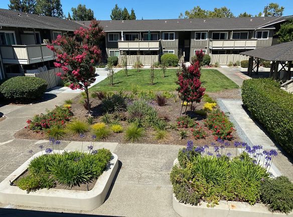 Latham Square Apartments - Mountain View, CA