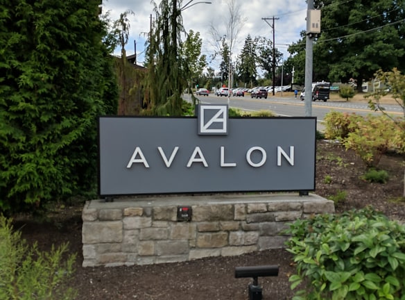 Avalon Apartments - Lynnwood, WA