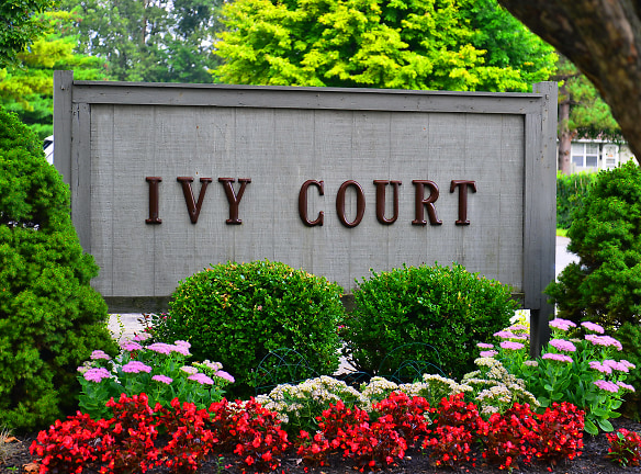 Ivy Court Apartments - Urbana, OH