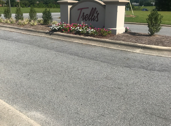 The Trellis Apartments - Greenville, NC