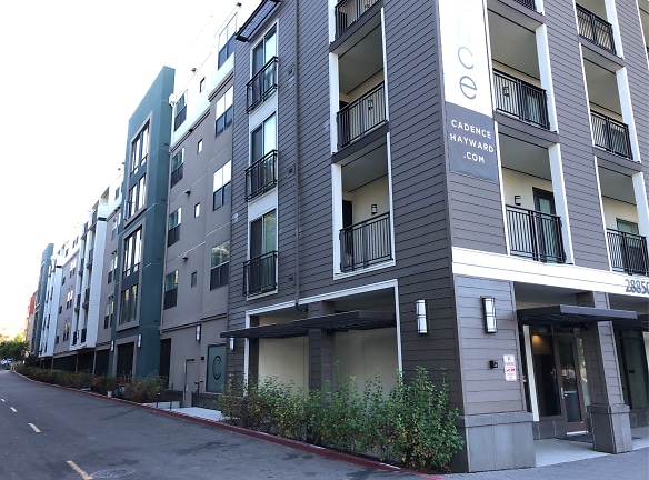 Cadence Apartments - Hayward, CA
