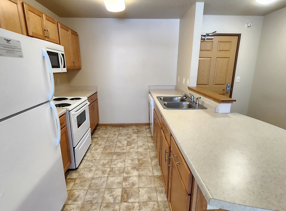 508 4th St SW unit 304 - Rochester, MN