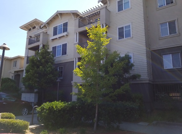 San Clemente Place Apartments - Corte Madera, CA