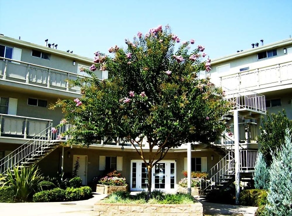 Pinebrook Apartments - Fremont, CA