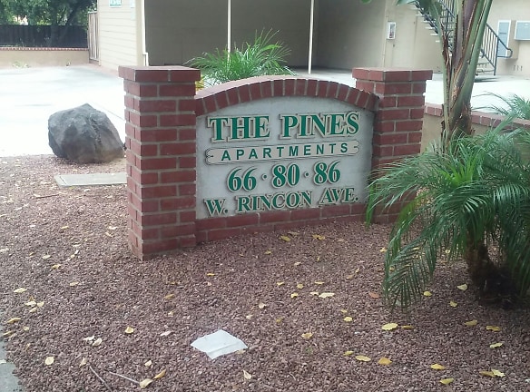 Plaza Pines Apartments - Campbell, CA
