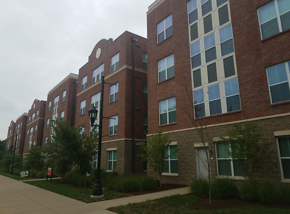 University Pointe Apartments - Louisville, KY