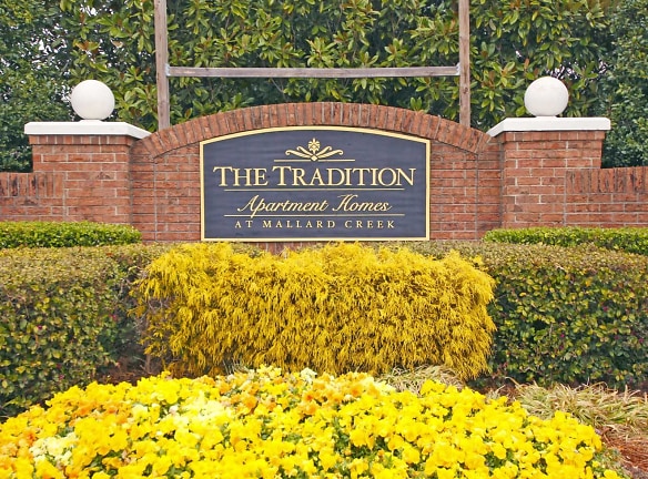 The Tradition - Charlotte, NC