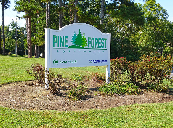 Pine Forest - Cleveland, TN
