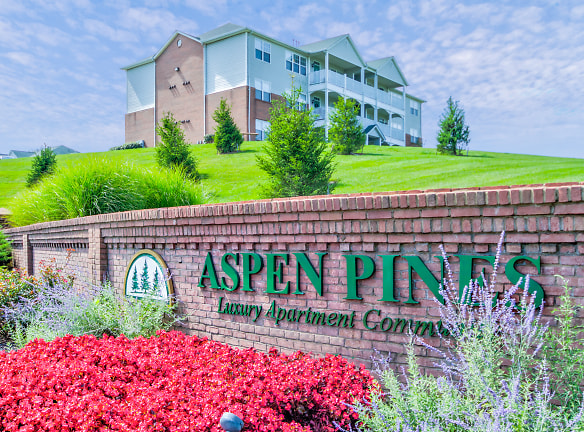 Aspen Pines Apartments - Newport, KY