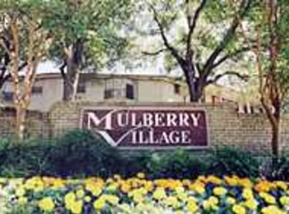 Mulberry Village Apartments - San Antonio, TX