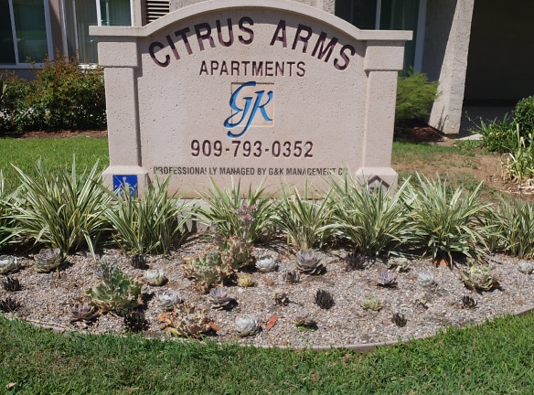 Citrus Arms Apartments - Redlands, CA