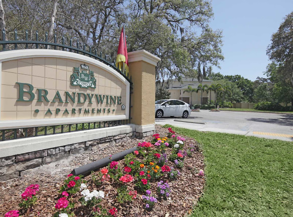 Brandywine Apartments - Tampa, FL