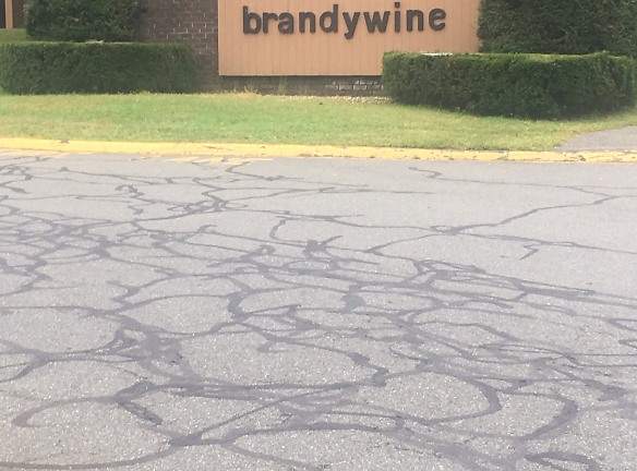 Brandywine Apartments - Amherst, MA