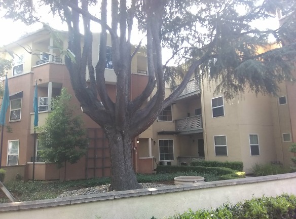 Gadberry Courts Apartments - San Jose, CA