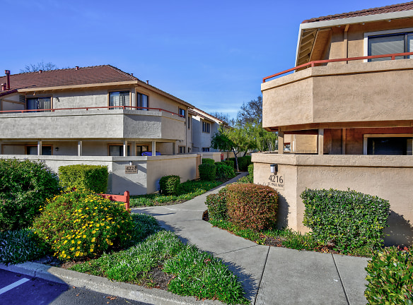 Cowell Terrace Apartments - Concord, CA