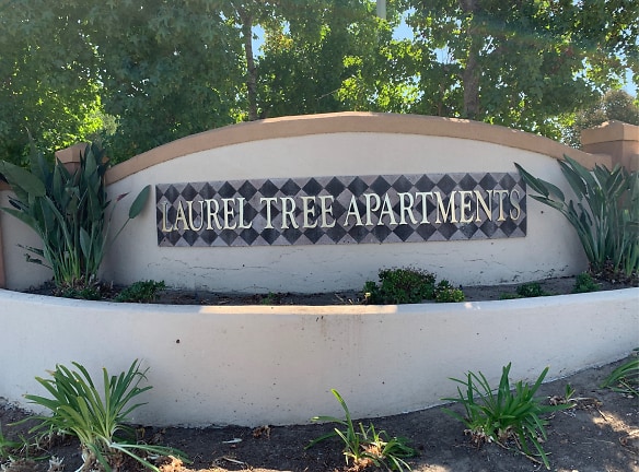 Laurel Tree Apartments - Carlsbad, CA