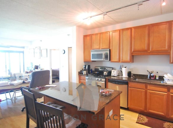 1250 S Indiana Ave unit 00506 - Chicago, IL