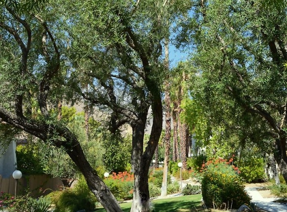1826 N Mira Loma Way - Palm Springs, CA