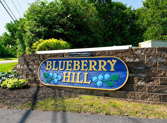Blueberry Hill Apartments - Rochester, NY
