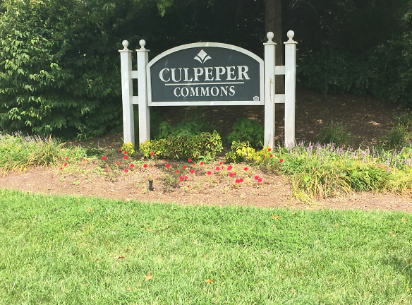 Culpeper Commons Apartments - Culpeper, VA