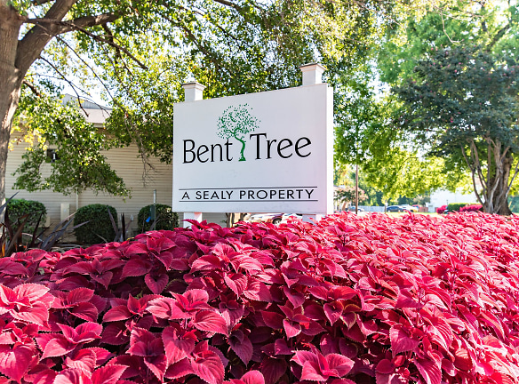 Bent Tree Apartments - Tuscaloosa, AL