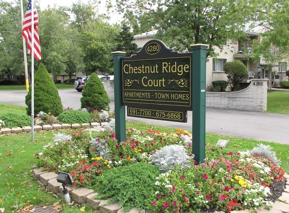 Chestnut Ridge Court Apartments - Buffalo, NY
