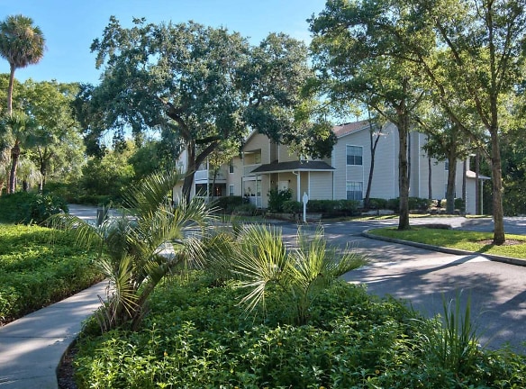 Tampa Woods Apartments - Tampa, FL