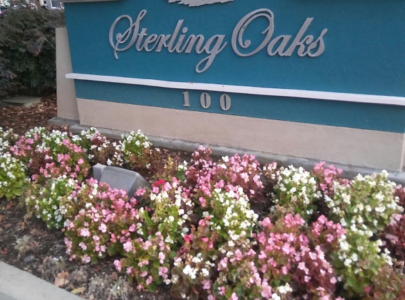 Sterling Oaks Apartments - Chico, CA