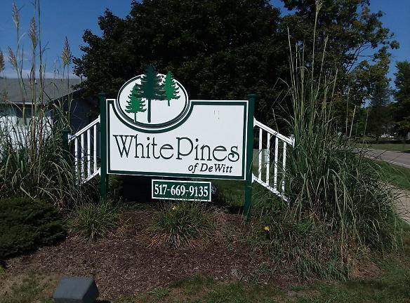 WHITE PINE APTS Apartments - Dewitt, MI