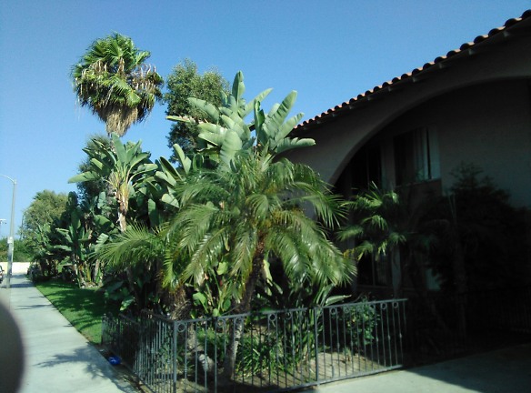 Village Courtyard Apartments - Stanton, CA