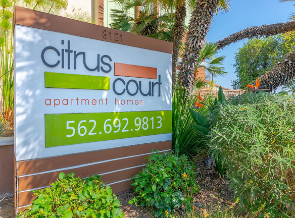 Citrus Court Apartments For Rent Whittier CA Rentals com