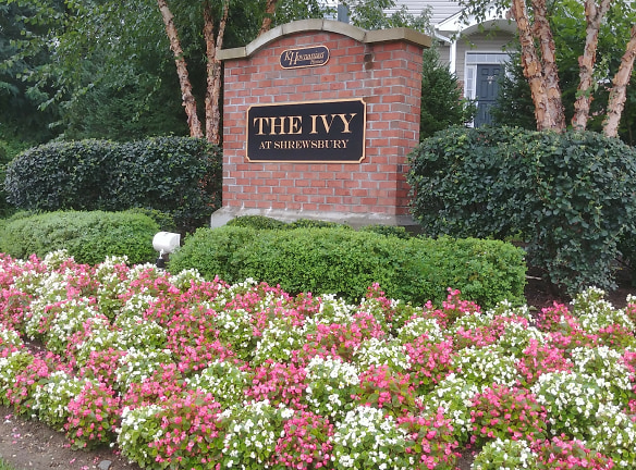 Ivy At Shrewsbury Townhouse Complex (61 Units) Apartments - Shrewsbury, NJ