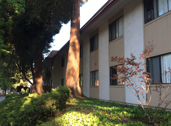 Charter Court Apartments San Jose CA Apartments For Rent Rentals com