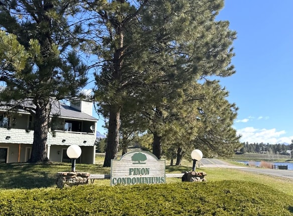 37 Valley View Dr unit 3136 - Pagosa Springs, CO