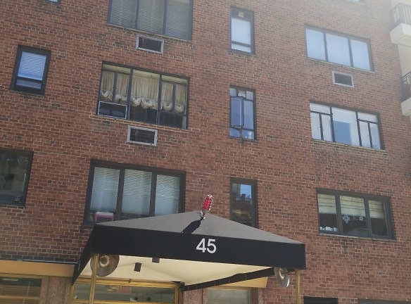 Apartments Plus - New York, NY