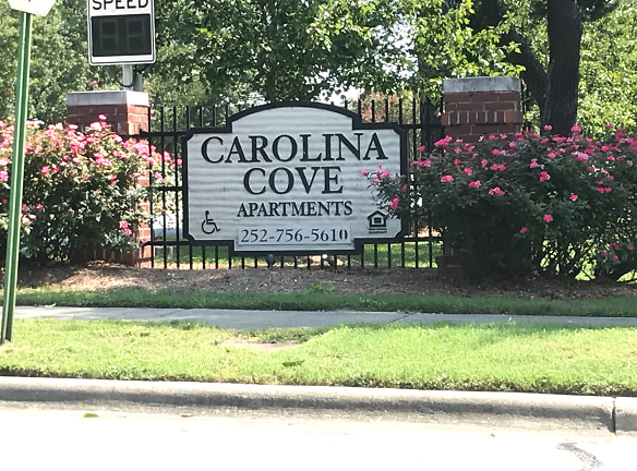 Carolina Cove Apartments - Greenville, NC