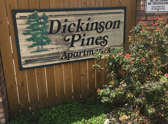 Dickinson Pines Apartments - Dickinson, TX