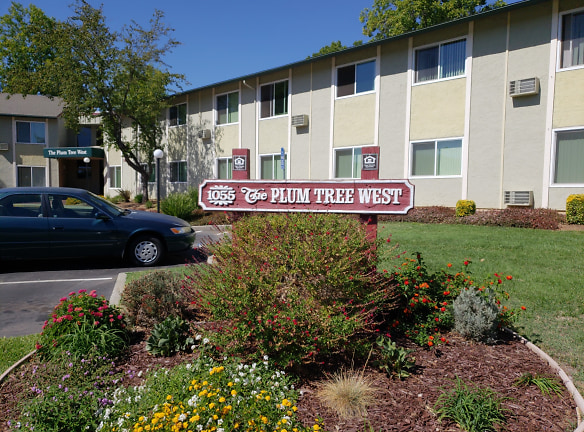 Plum Tree Apartments - Gilroy, CA