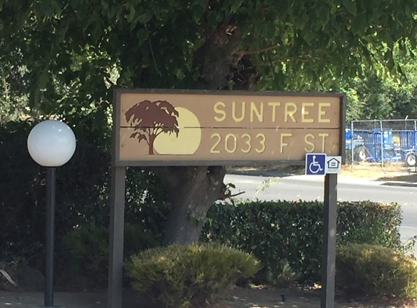 Suntree Apartments - Davis, CA
