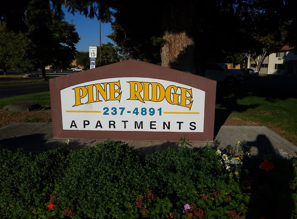 Pine Ridge Apartments - Chubbuck, ID